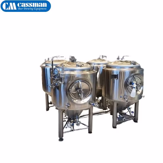 100 л, 2 барреля, 10 баррелей, 3000 л, резервуар для яркого пива Brite